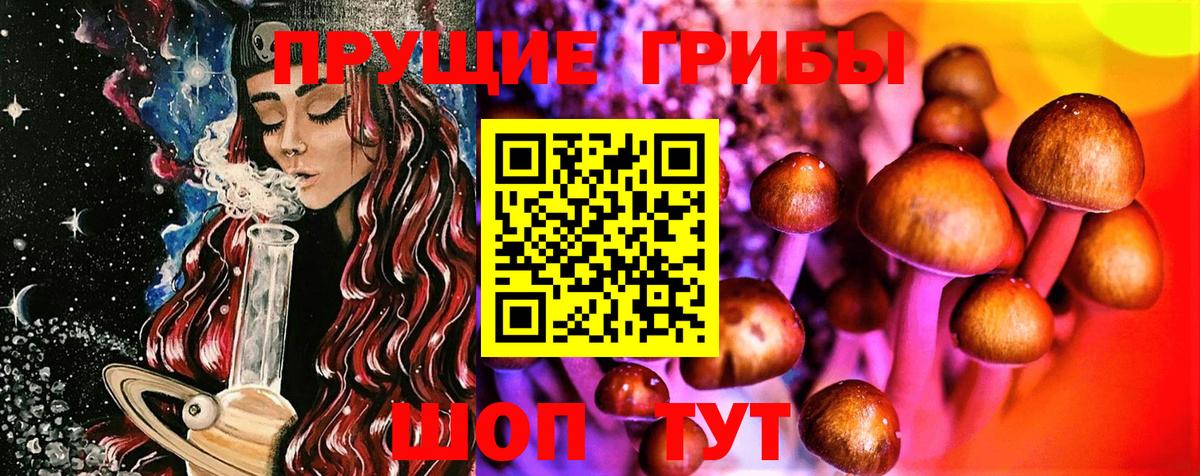 Мурино  Галлюциногенные грибы прущие грибы  Вход с VPN  Псилоцибиновые грибы Cubensis 